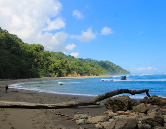 Caño Island, a Paradise for Nature Lovers and Adventurers