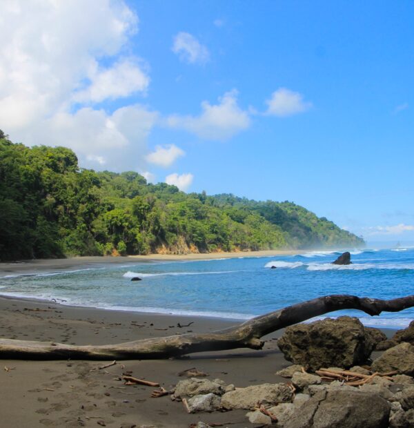 Caño Island, a Paradise for Nature Lovers and Adventurers